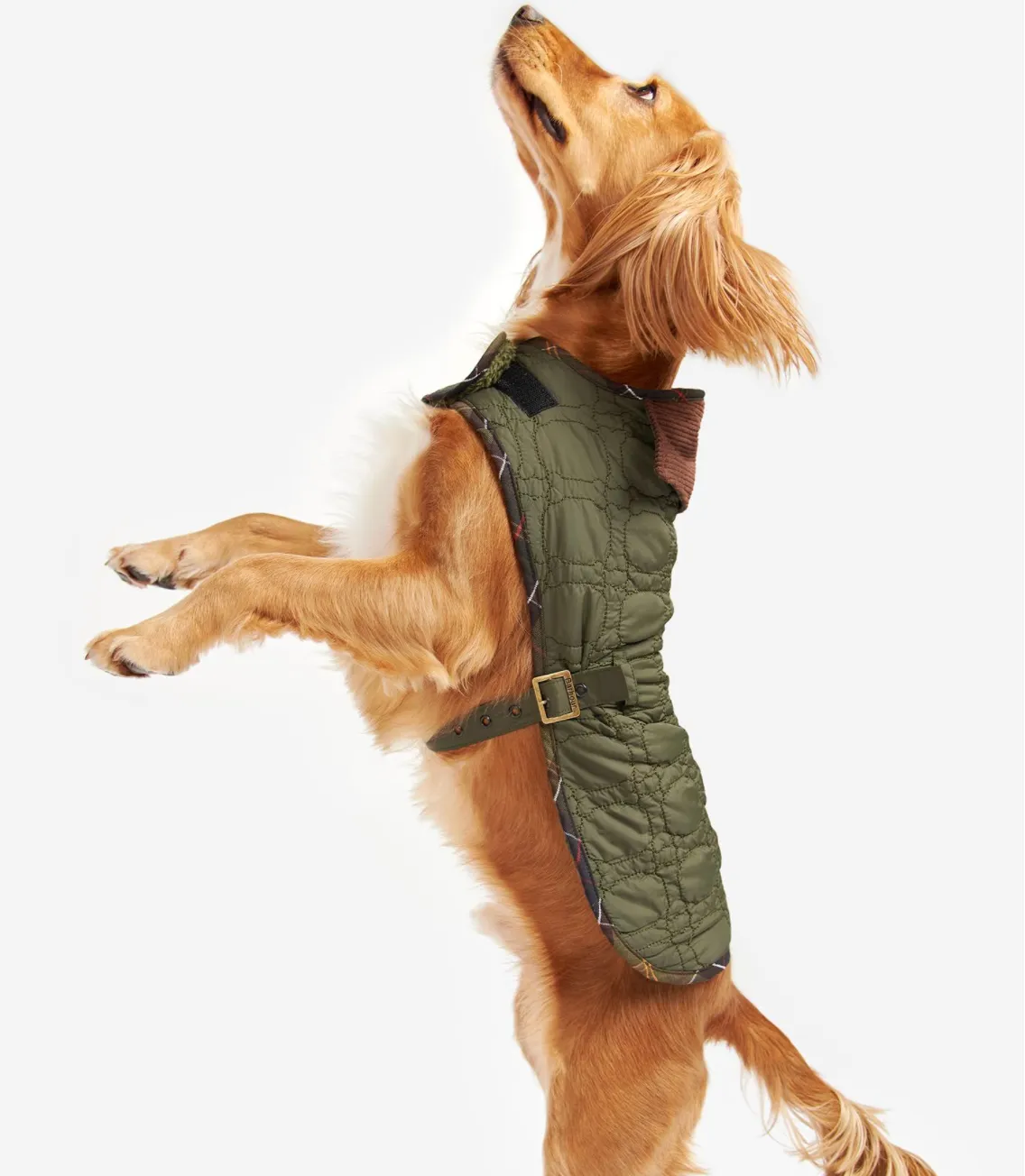 BARBOUR Dog Bone Quilted Dog Coat Dk. Olive