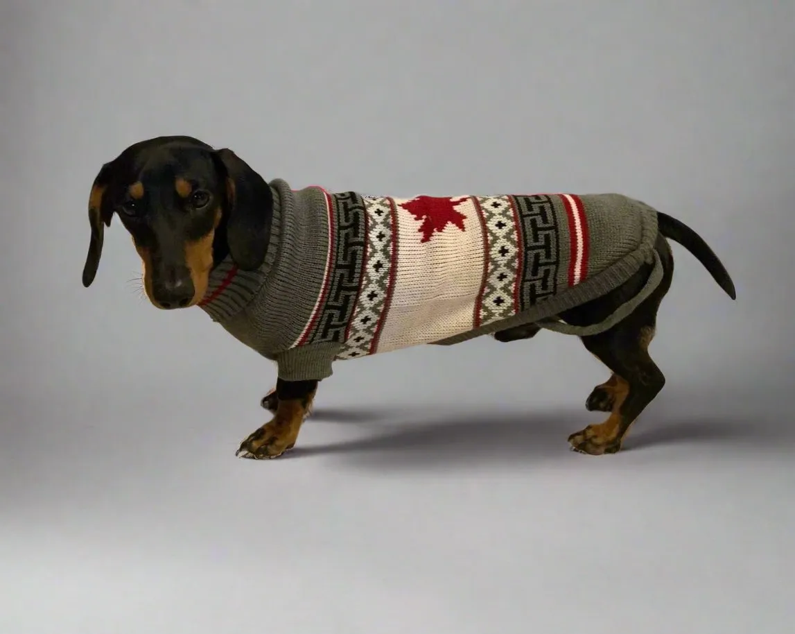 Dachshund Christmas Sweater