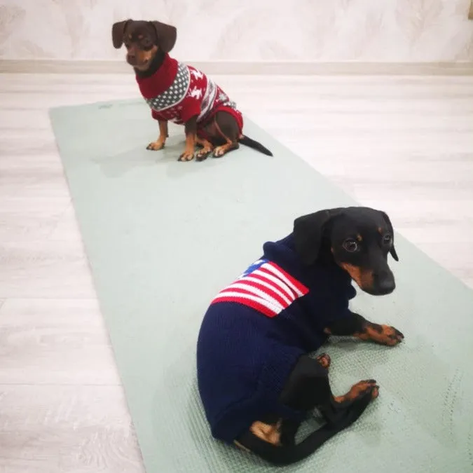 Dachshund Christmas Sweater