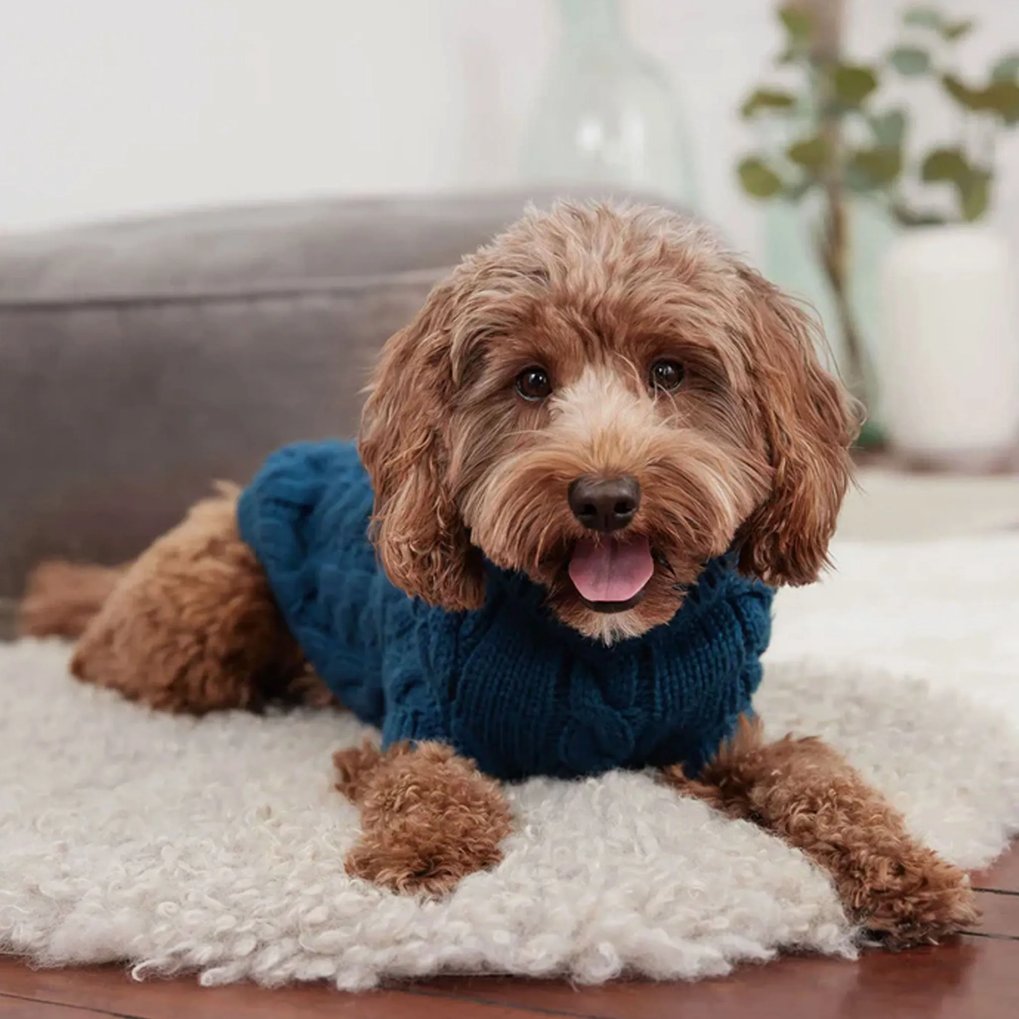 GF Pet Chalet Sweater - Dark Teal