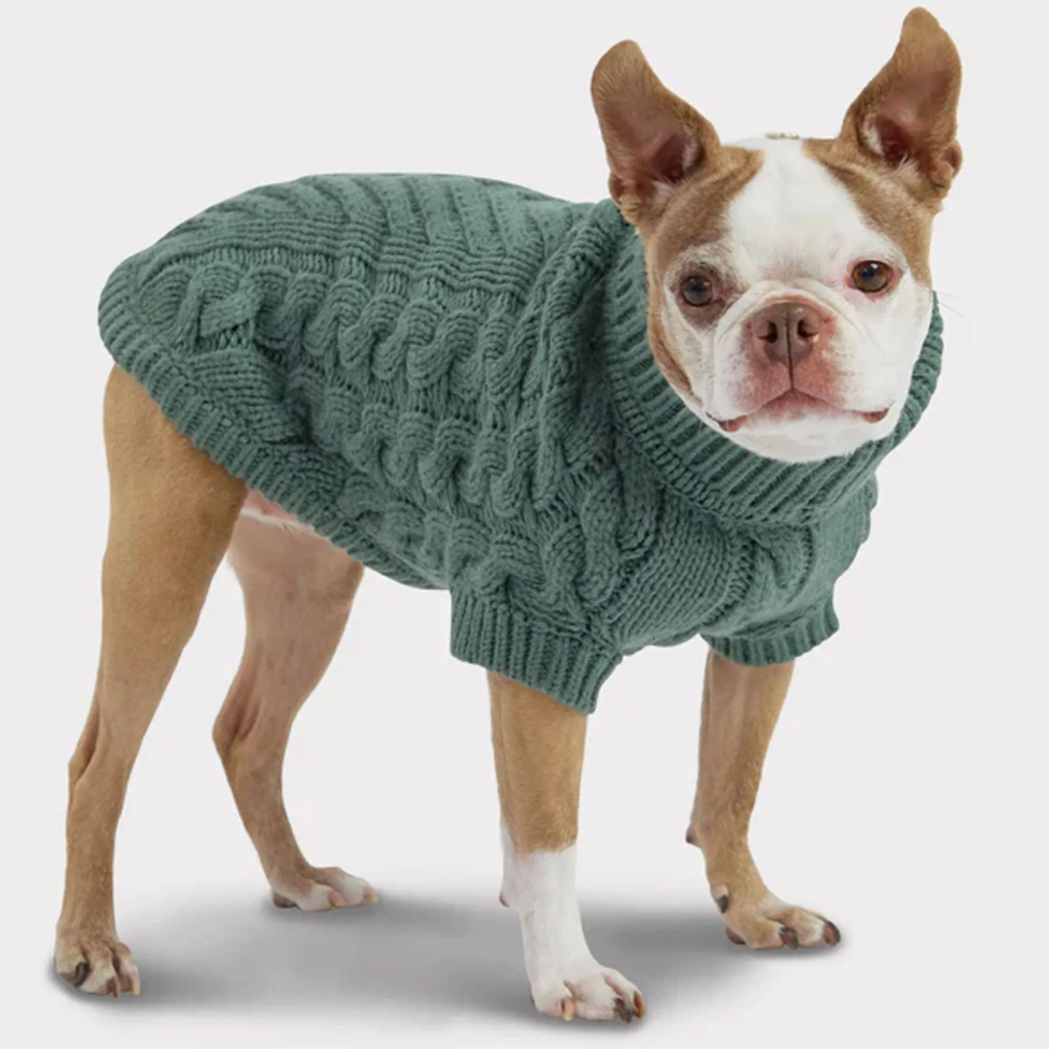 GF Pet Chalet Sweater - Sage