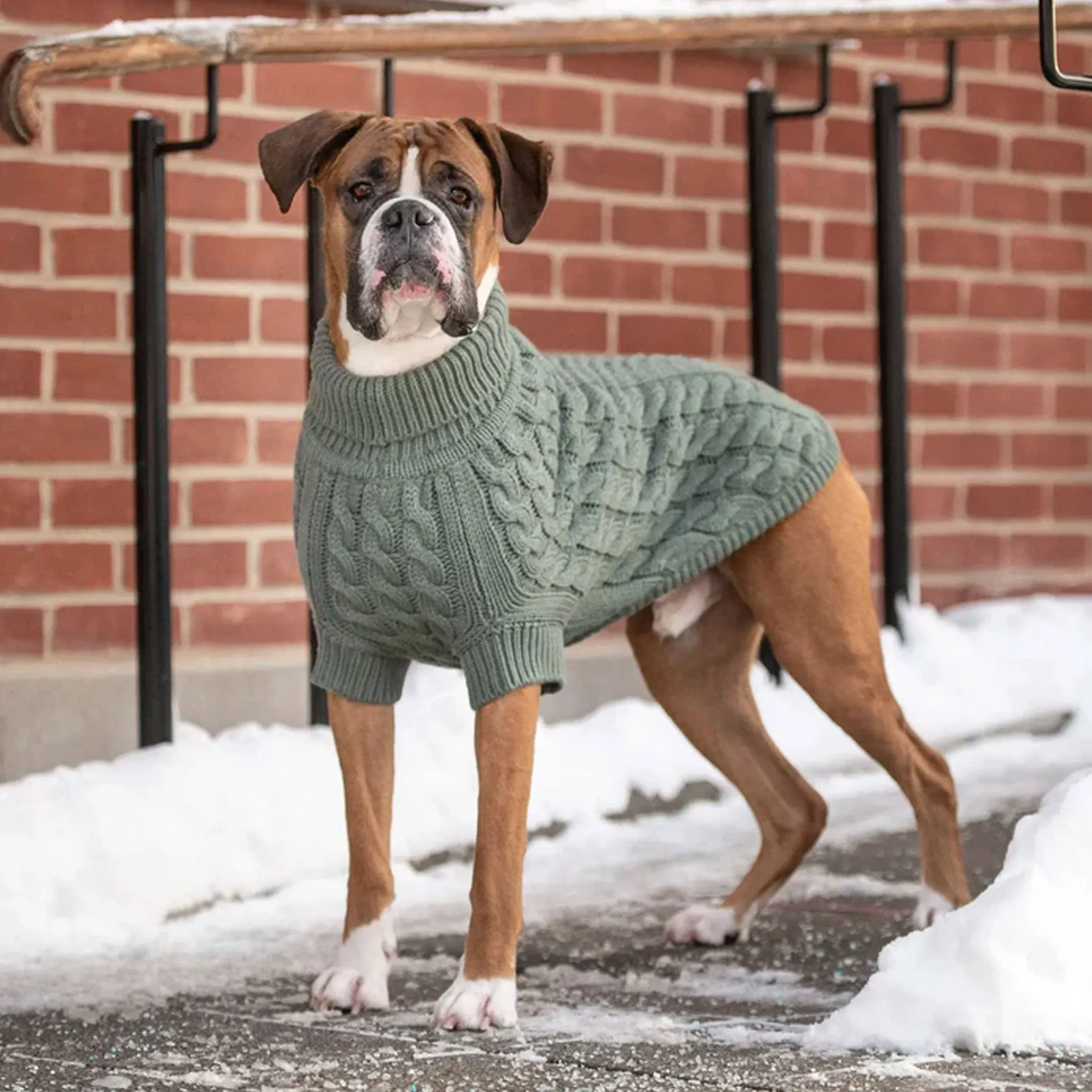 GF Pet Chalet Sweater - Sage