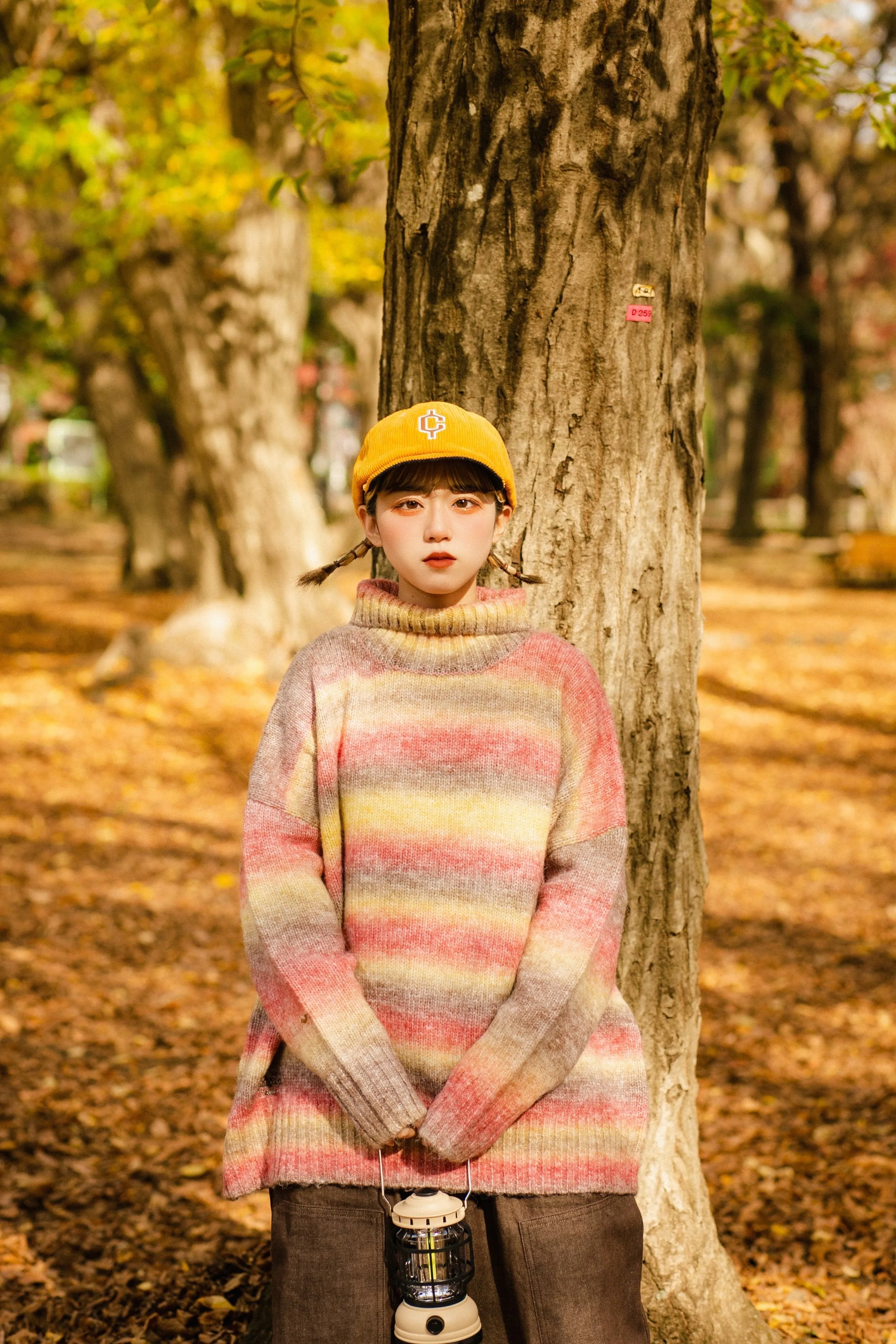 gradation turtleneck knit