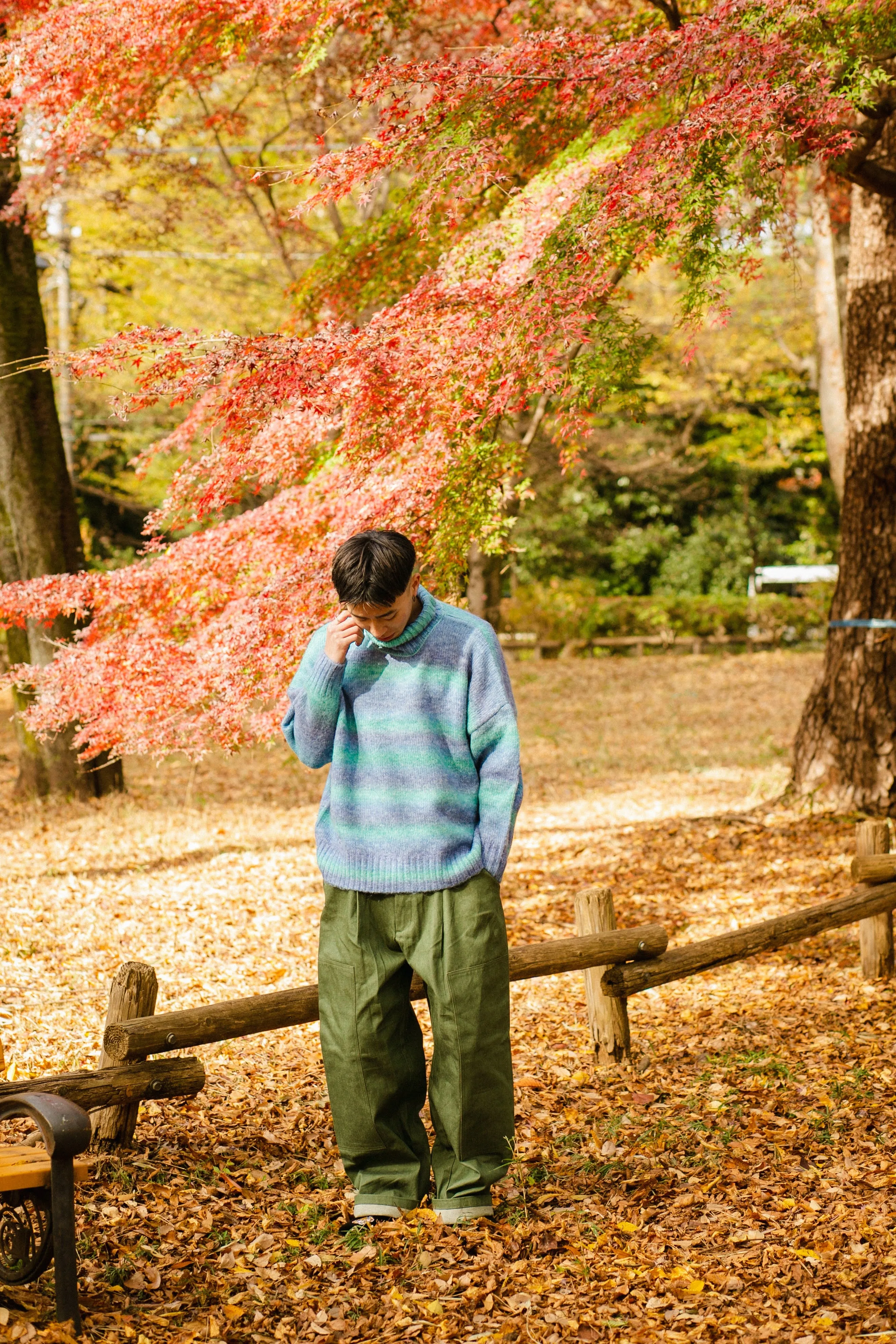 gradation turtleneck knit