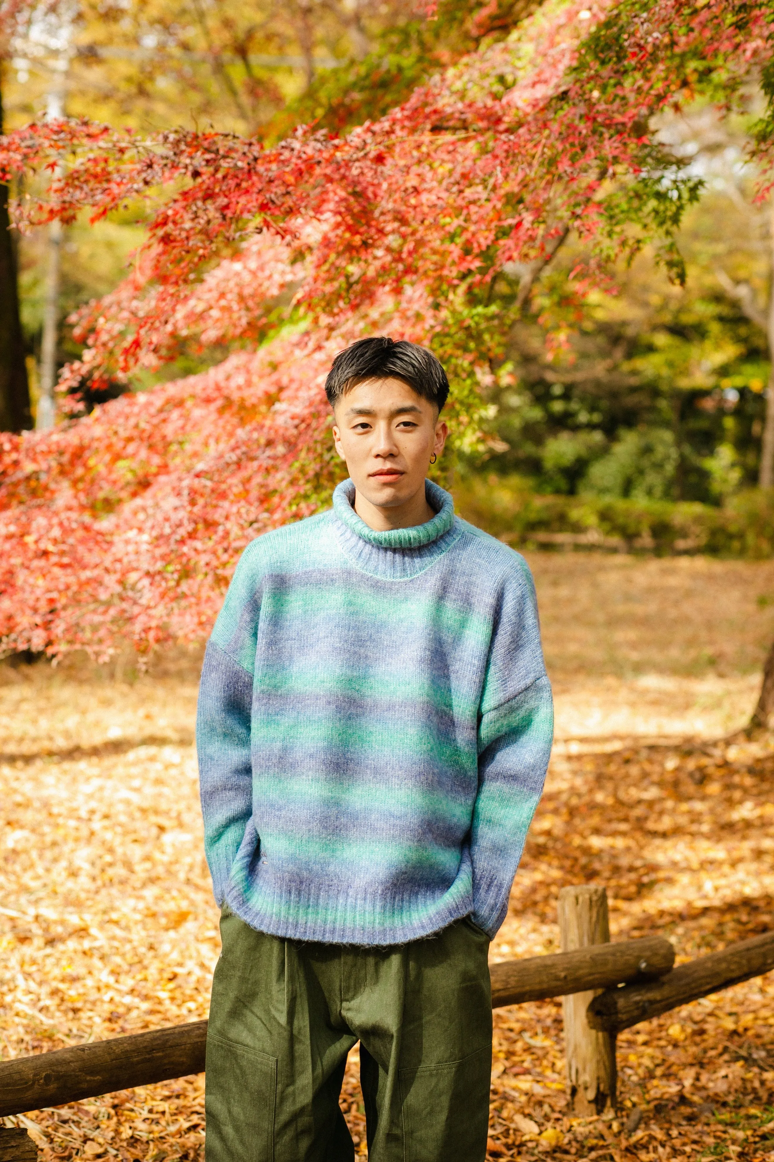 gradation turtleneck knit