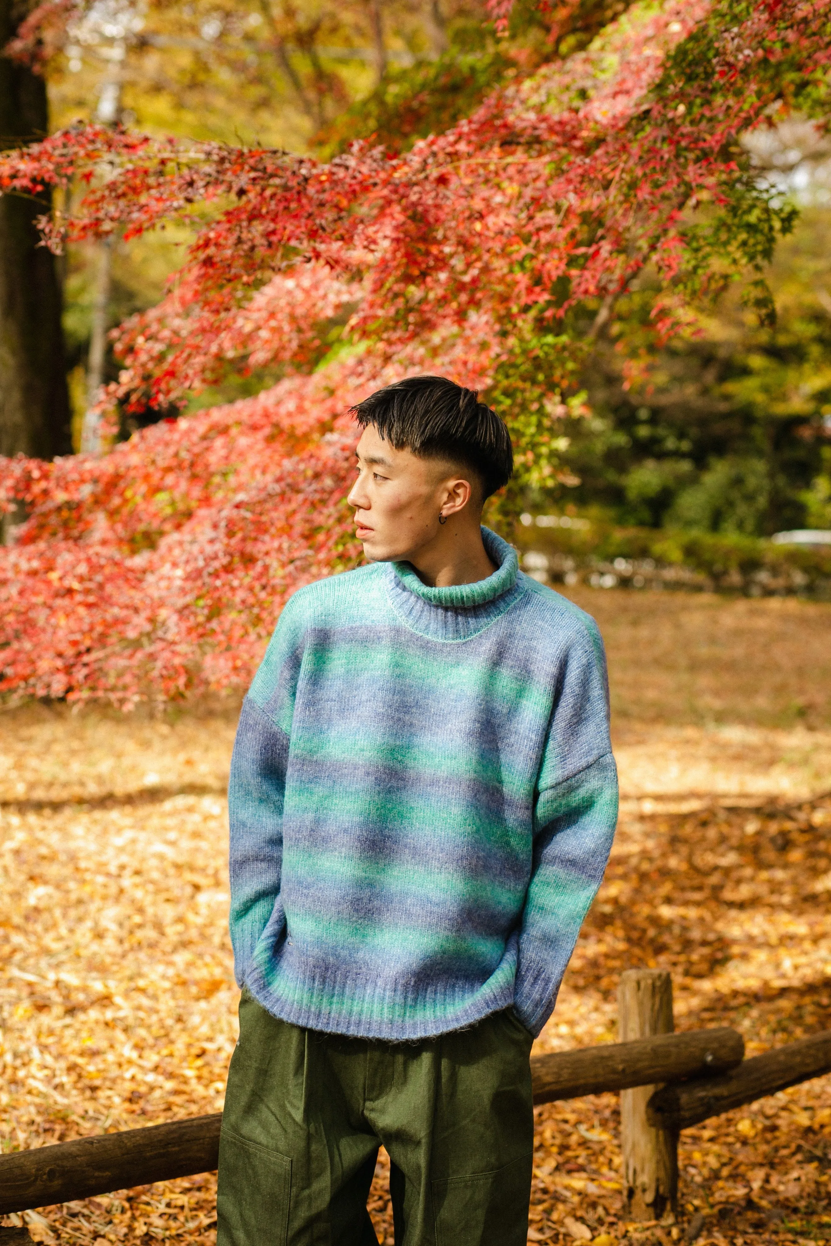 gradation turtleneck knit