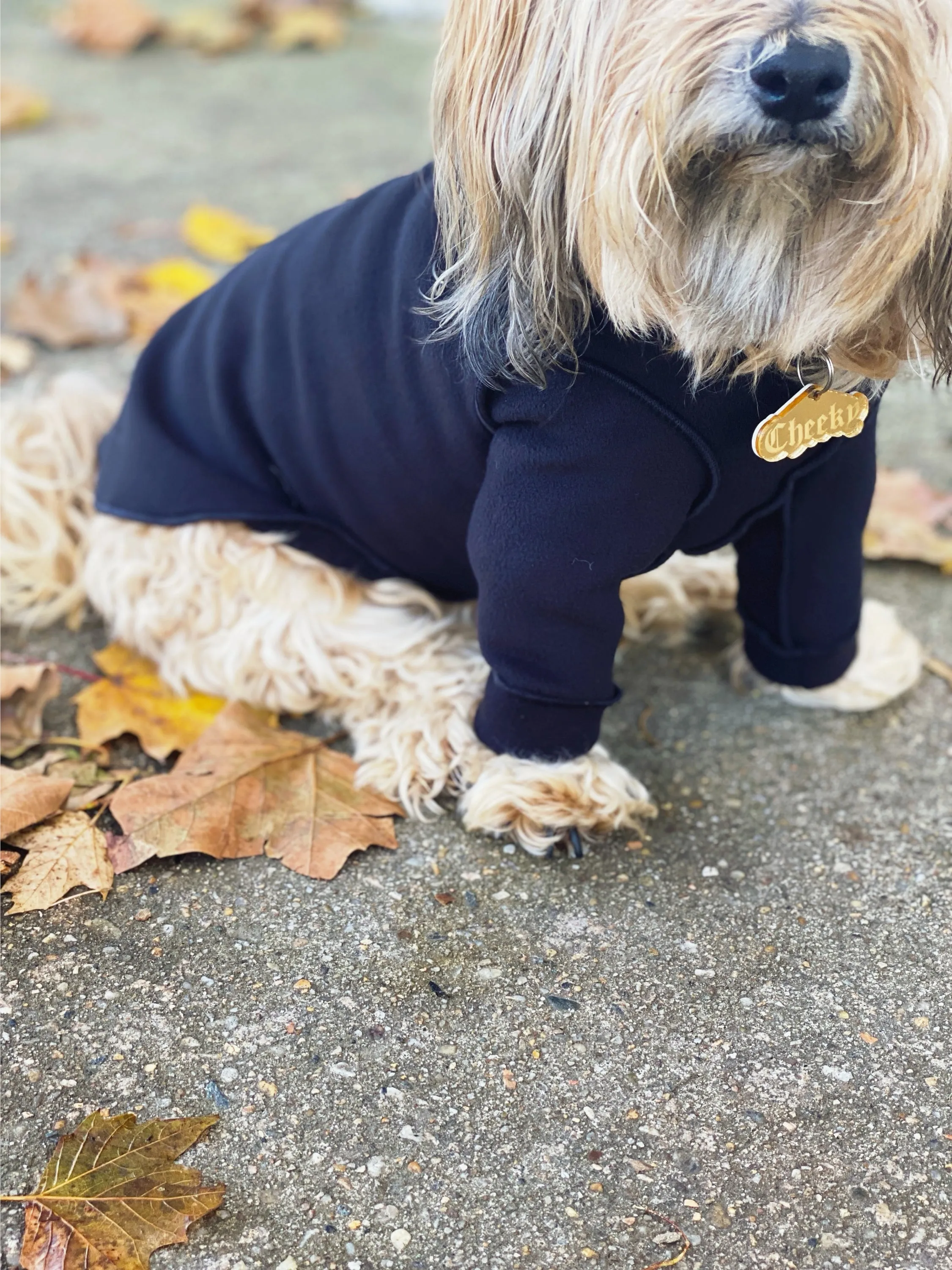 Long-Sleeve Pullover Stretch Dog Fleece in Black (Made in the USA, Dog & Co. Exclusive!)