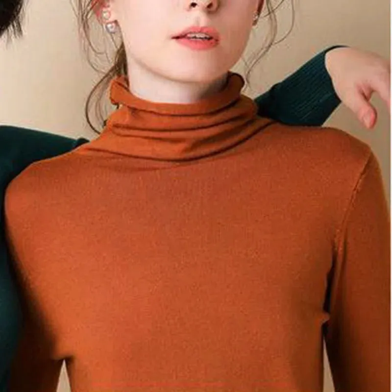 Slim Fit Basic Turtleneck Pullover Sweater