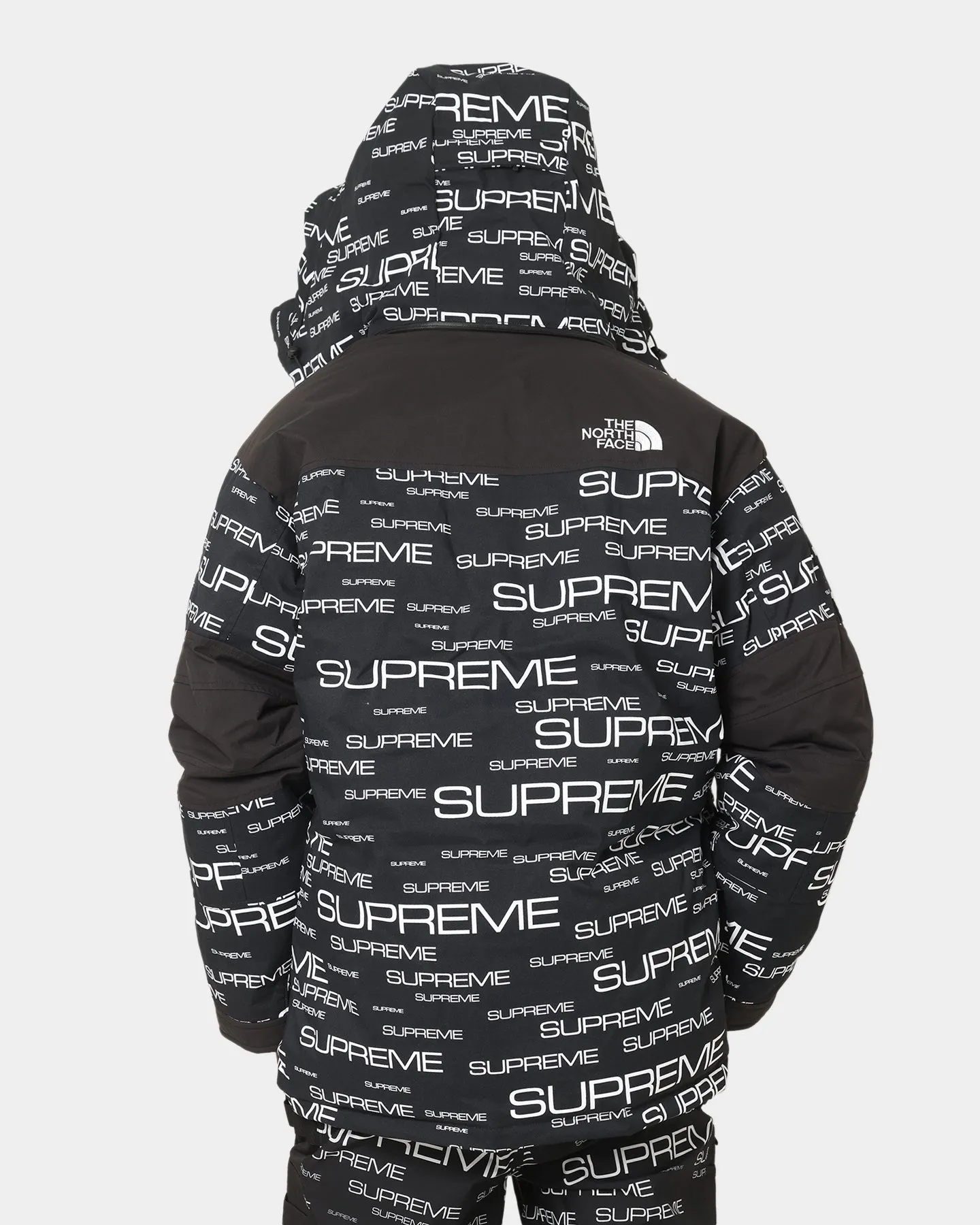 Supreme X The North Face Coldworks 700-Fill Down Parka Jacket Black