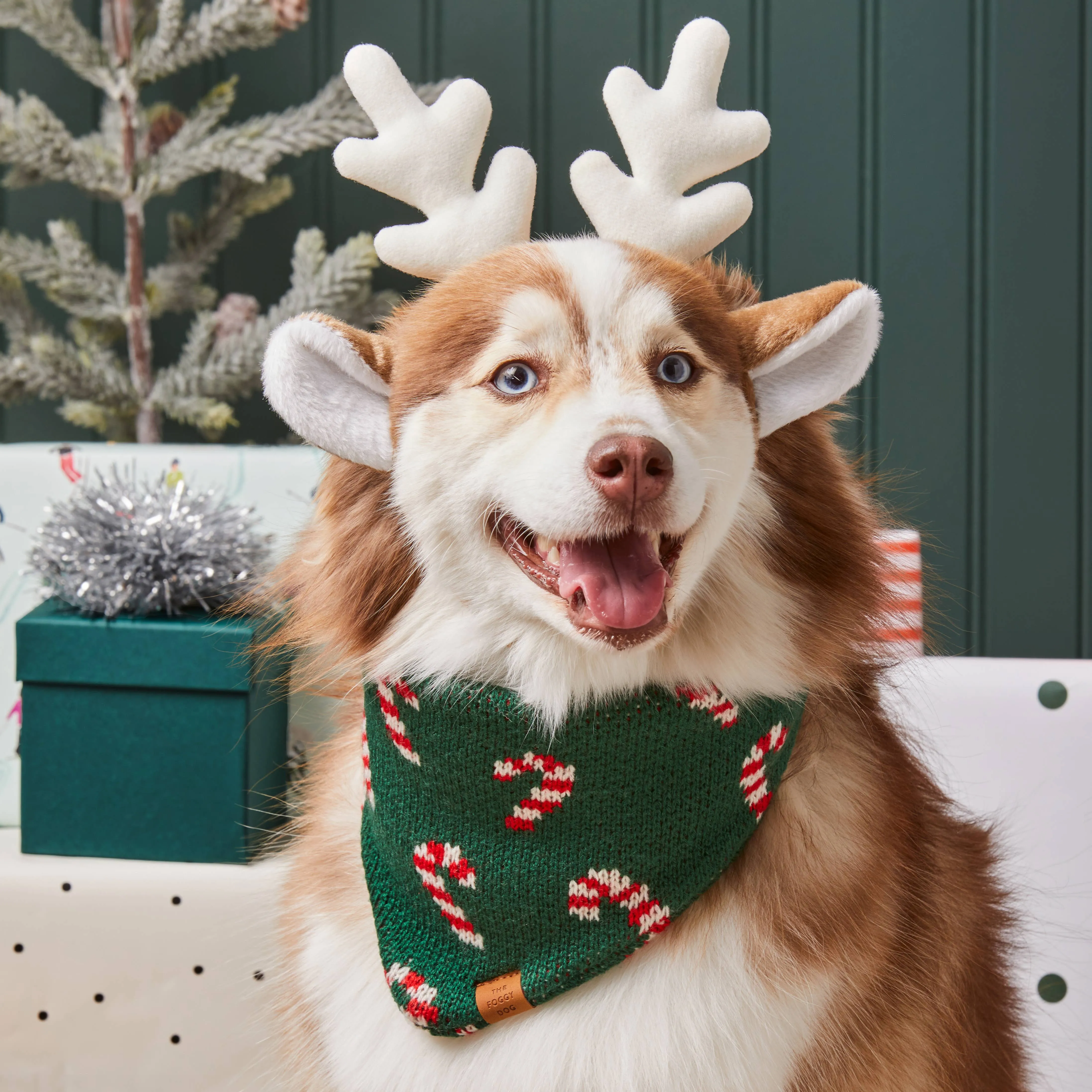 The Foggy Dog Bandana - Candy Cane Knit