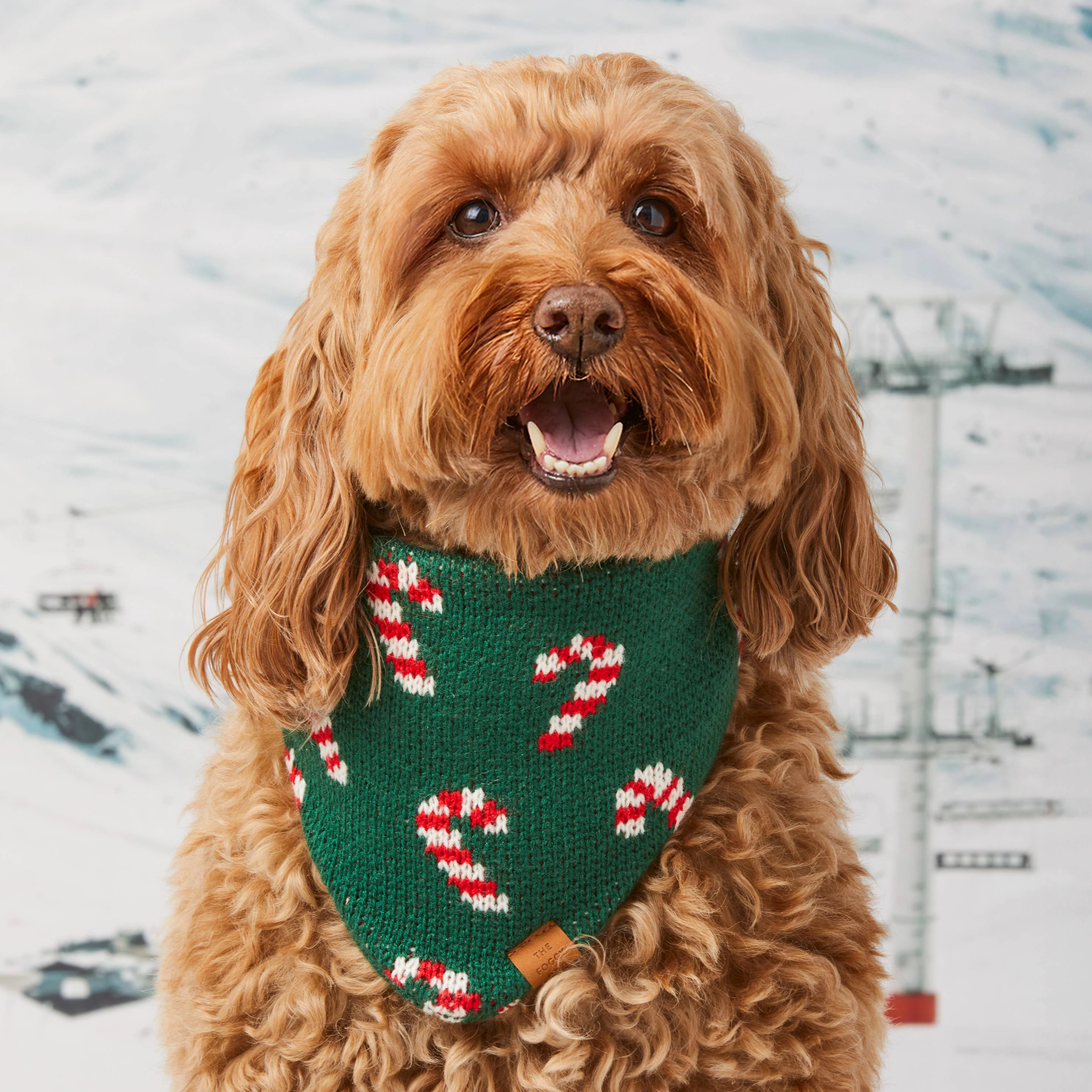 The Foggy Dog Bandana - Candy Cane Knit