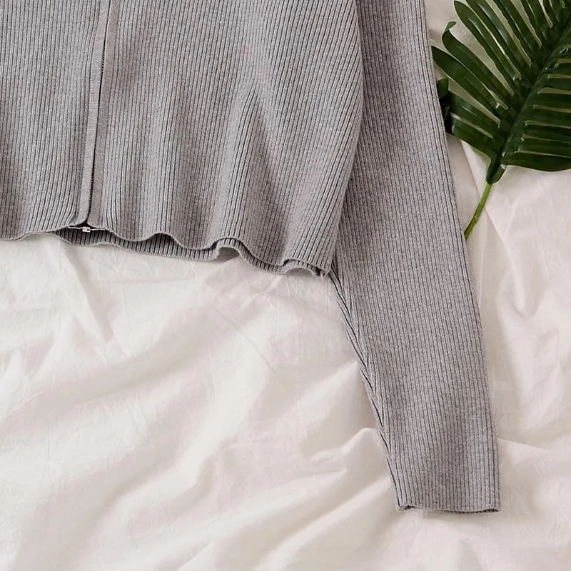 Tolio Cropped Hoodie