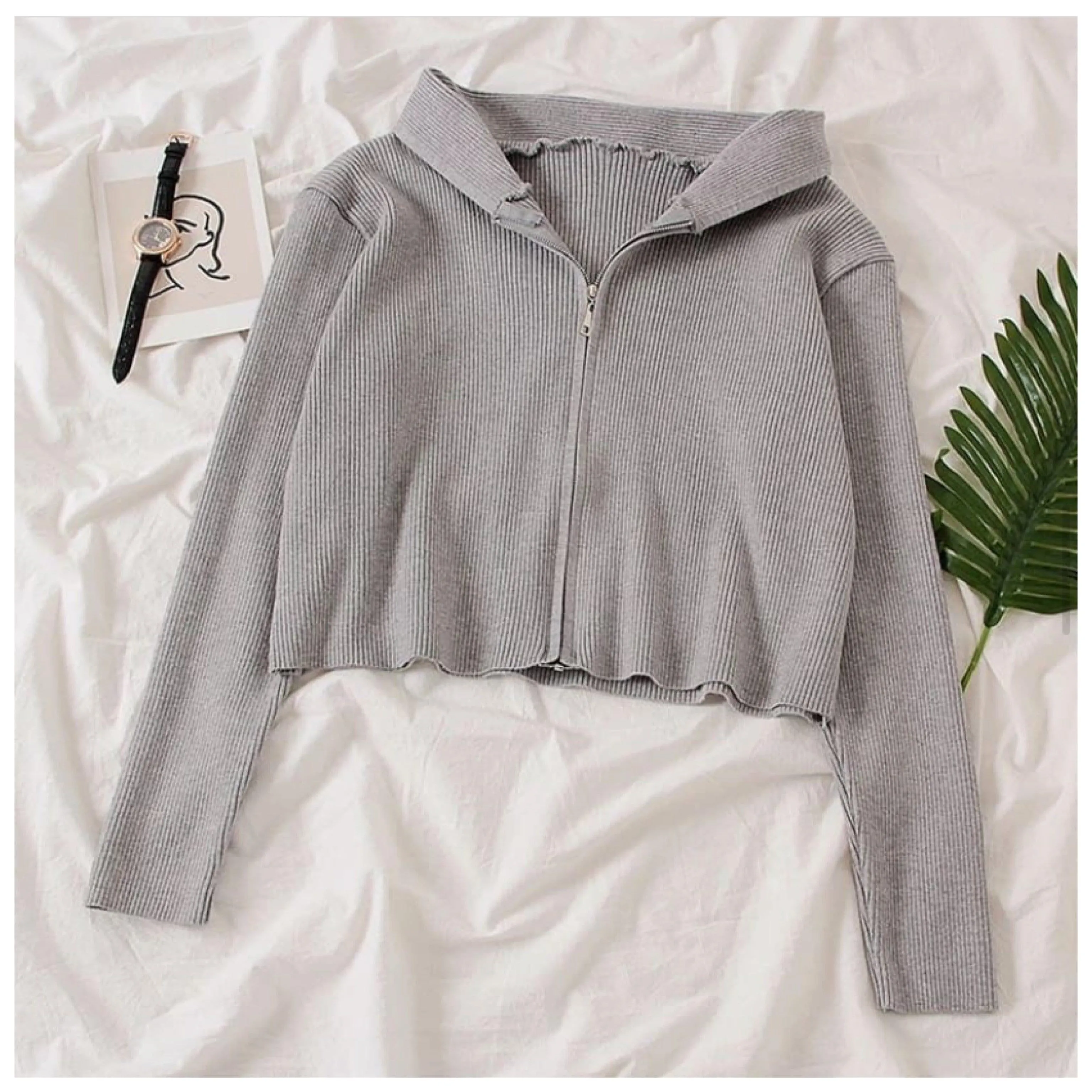 Tolio Cropped Hoodie