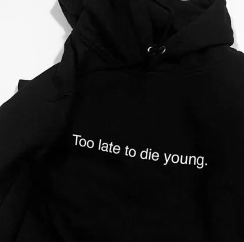 Too Late To Die Young Hoodie