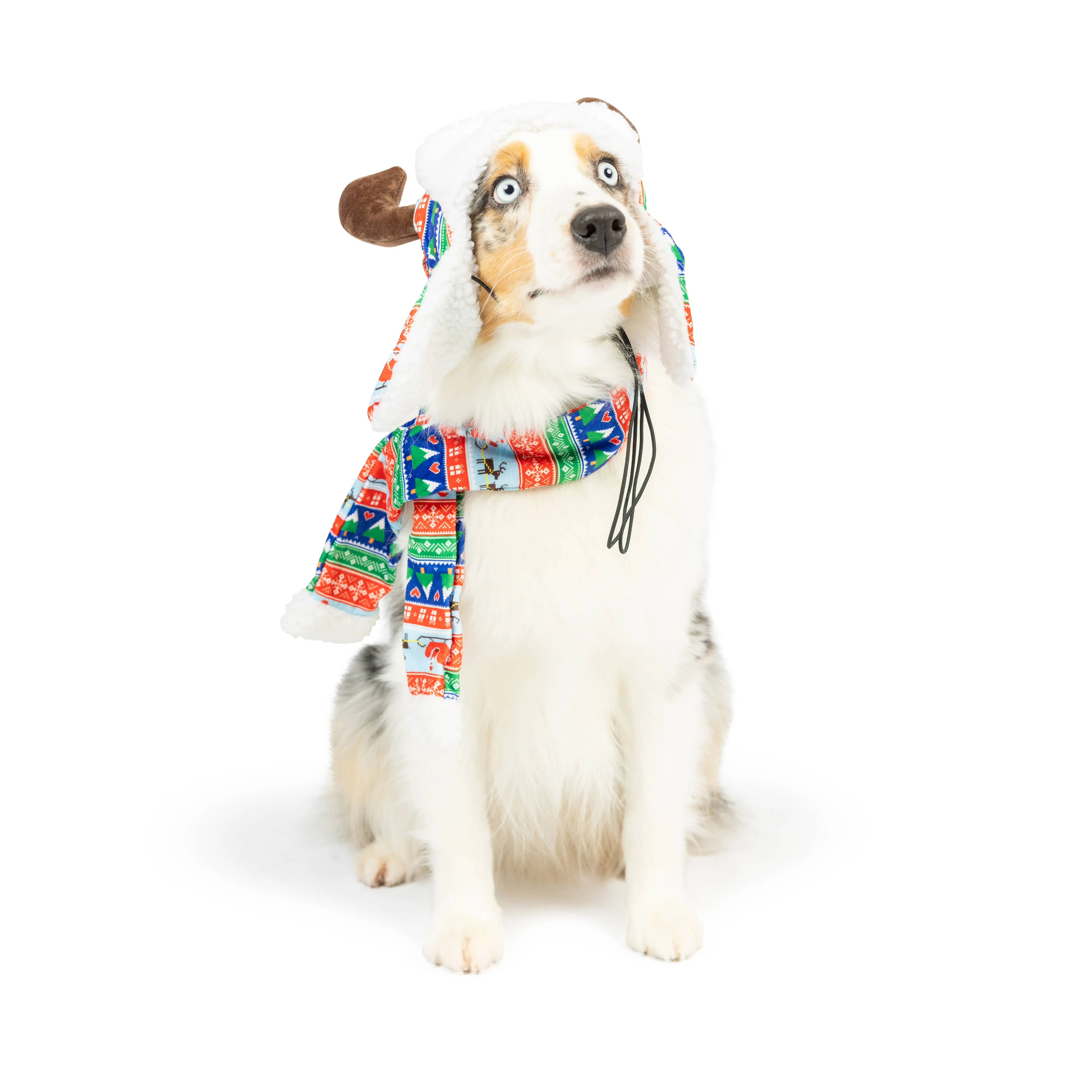 Ugly Sweater Dog Scarf